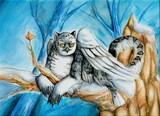 by Jen Starling