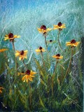 by Sharla Derry