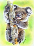 by Geraldine Simmons