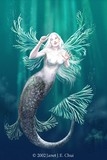 by Janet Chui