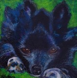 by Laura Grisham