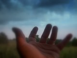 by Noushig Mikhailian