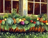 by SONDRA METZGER