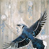 by Erika Schulz
