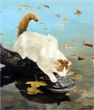 by Ziya Eris
