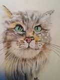 by Max Handley