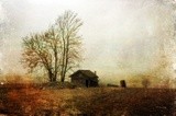 by Randi Grace Nilsberg