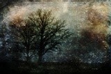 by Randi Grace Nilsberg