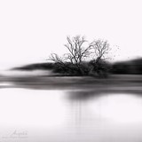by AngieG. PhotographY.