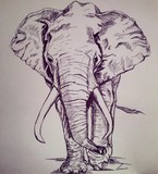 by refael degorker