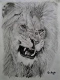 by Ron Smith