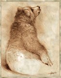 by Tracy Herrmann