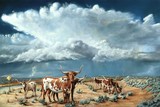 by Carol Herden