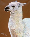by Susan Marie Pieri