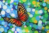by Renata Cavanaugh
