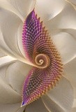 by John H. R. Pieper