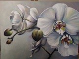 by Ella Levin