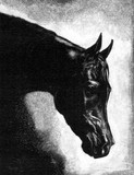 by Anne Kelty