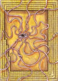 by Teri McGee
