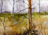 by Jim Perkins