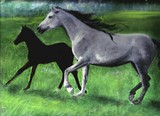 by Sue Carmicle