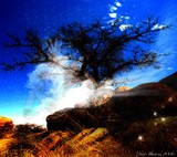 by sharon hendrickson