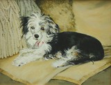 by Linda Eades Blackburn