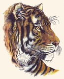 by Debbie Gray