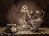 by Vilma Rohena