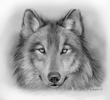 by Greg Joens