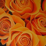 by ria van meijeren