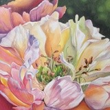 by nicolee payne