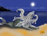 by Steve Farr