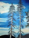 by donald penwell