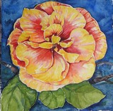 by Ingrid Kolster