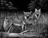 by Heather Ward
