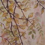 by Clinton Yaws