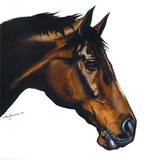 by Adair Finucane