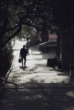 by Nikolay Semyonov