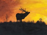 by Barb Alle