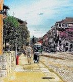 by gianantonio zago marino