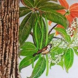 by Meena Subramaniam
