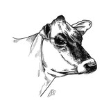 by anna shipstone