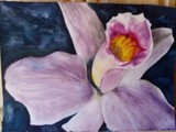 by lauren miller