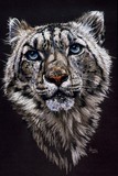 by Barbara Keith