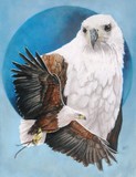 by Barbara Keith