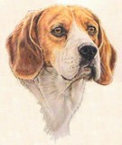 by Barbara Keith
