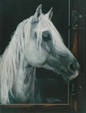 by Barbara Keith