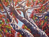by Scott Niemi