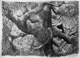 by GRAEME BALCHIN